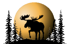 Moose, Moon and Trees (11355 bytes)