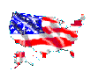 USA MAP Flag