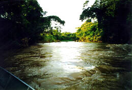 Rio Camanducaia