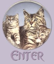 Enter Cat World Here!
