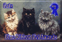 Petsburgh Blue Ribbon Award!!