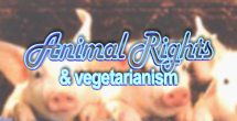 Animal Rights & Vegetarianism