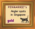 This site has been awarded the "Penmarric's Gold Award"