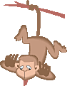 /clipart/pictures/Animals/monkeyup.gif
