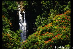 [picture of a waterfall]