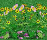 summerflowers.jpg - 6638 Bytes