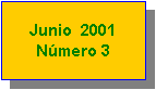 Text Box: Junio 2001
Número 3