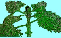 Nettles