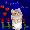 Thanks Tine!