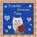 Thanks Tany!