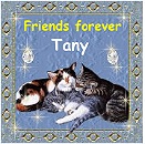 Thanks Tany!
