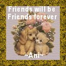 Thanks Ani!