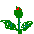 ANIMATED RED ROSE BUD