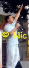 copyright by Nic