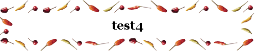 test4