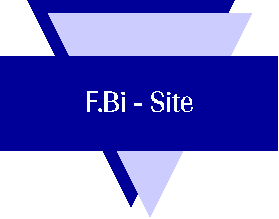 Logo F.Bi - Site