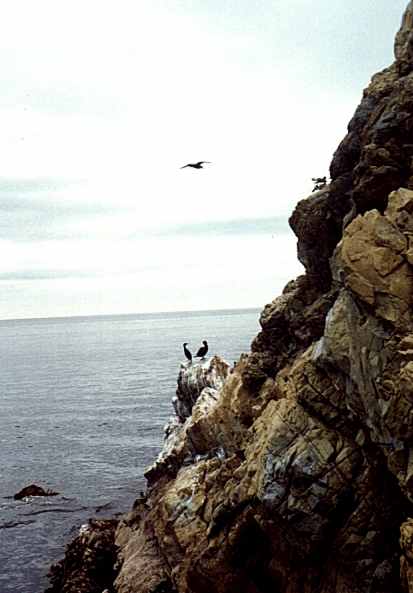view looking east from the island, without boats