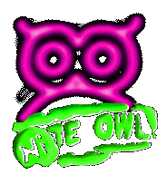 Nite Owl logo circa 1996-2001