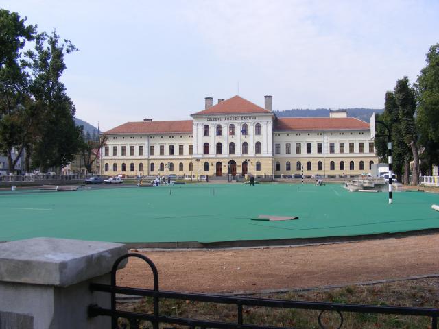 The Andrei Saguna High School