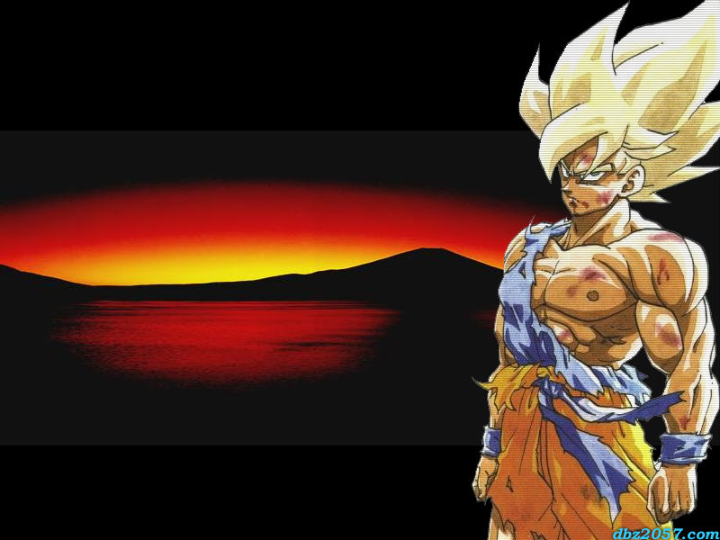 3d wallpapers of dragon ball z. 3d wallpapers of dragon ball