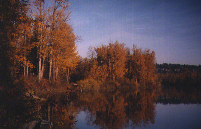 Nechako River during autumn