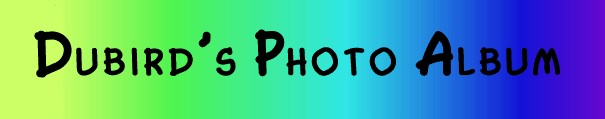 photos
