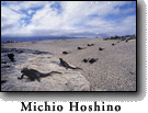Galapagos, Author: Michi Hoshino