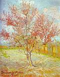  van Gogh - Peach Tree in Bloom (1888) 