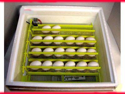 egg incubator, quail incubator, reptile incubator