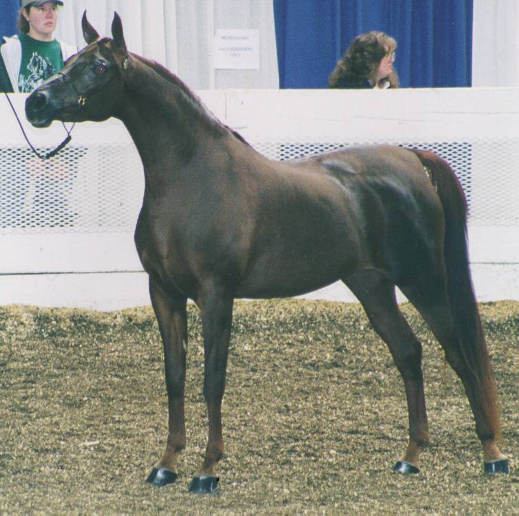 © Rideaufield Farm