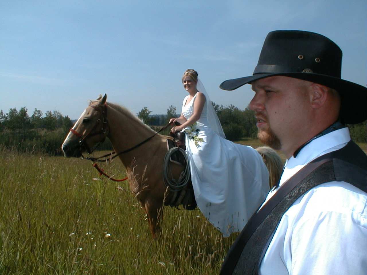 profile of groom