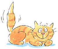 yoshi the cat
