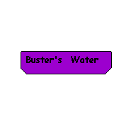 Buster's Water