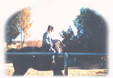 Tara riding
