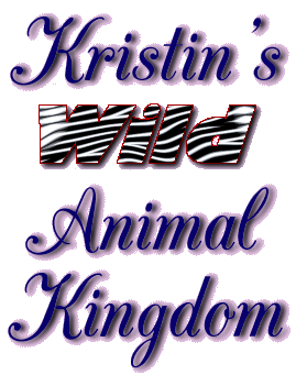 Kristin's Wild Animal Kingdom