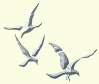 28birds.gif (2541 bytes)