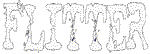 FLITTER