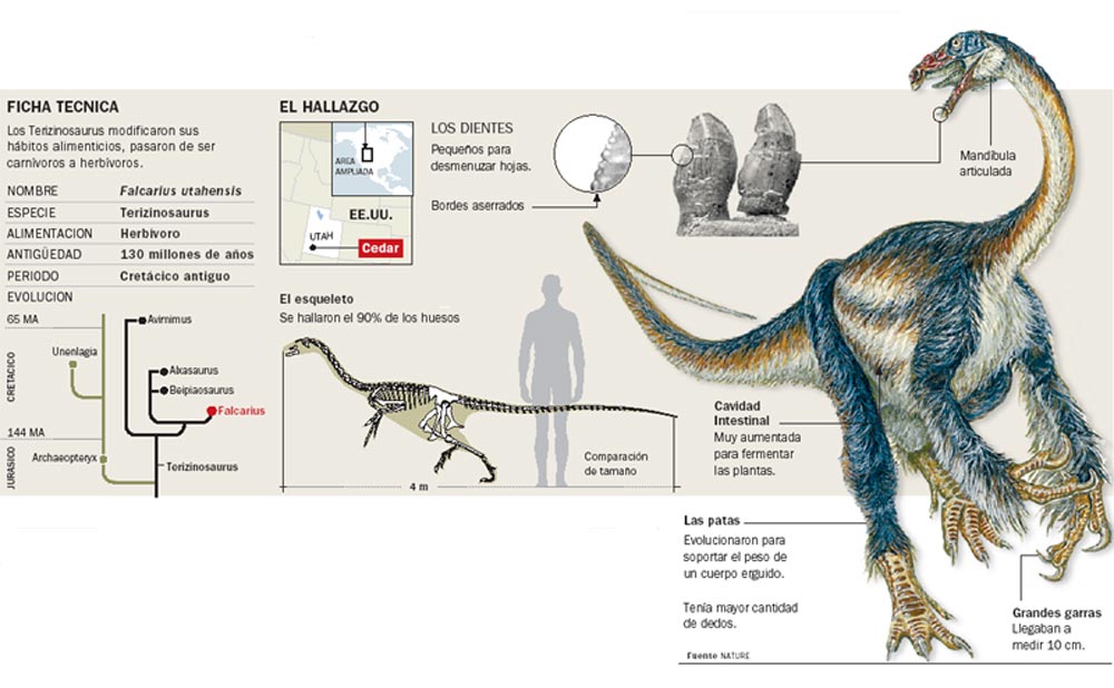 enantiornithine,archaeopteryx,pterodactilos,plumas,evolucion,Charles Darwin,dinosaurios,Nature,instintos,evoluciones,paleontologia,arqueologia,fosiles,Homo floresiensis,Mike Morwood,Chris Stringer,Nature,Homo sapiens,JRR Tolkien,Mike Morwood,Homo erectus,java,paleontologia,arqueologia,links,Maria Reich,Nazca,lineas,calendario astronomico,Peru,dibujos,astronomia,geometria,Bernd Teichert,mapas,Ana María Cogorno,ovnis,misterios,Cristobal Colon,Hernando,Diego,catedral Sevillana,Cartuja Pickman,José Antonio Lorente,Granada,ADN;restos,Marcial Castro,antropologia,Republica Dominicana,www.egipto.com,Egipto,Keops,piramides,descubrimientos,Aton,Ankh,tumbas,sarcofacos,momias,embalsamamientos,Kefren,camaras secretas,Nefertiti,Amenofis,Nilo,inundaciones,Blade Runner,Ridley Scott, Richard Dawkins,Steven Pinker,Harrison Ford,Stephen Minger,Stanley Kubrick,Daryl Hanna,replicantes,androides,ciencia ficcion,Contactos,SHGb02+14a,proyecto SETI,Search for Extra Terrestial Intelligence,SETI@home,Robert Zemeckis,Jodie Foster,Dan Wertheimer,New Scientist,Arecibo,Puerto Rico,civilizaciones extraterrestres,Ma liberté de penser,Florent Pagny,Argentina,France,Patagonia,Argentine,Azucena Caamaño,Savoir aimer,artistes,musique,musica,CD,cantores,ventas,compras,ranking,Paparazzi,Isabel Sartorius,Borbon,Ortiz Patiño,Vallejo Najera,Entrecanales,Mora Figueroa,Antonio Montero,Sainz Vicuña,España,jet set,Mallorca,Ibiza,John Fitzgerald Kennedy,Lee Harvey Oswald,Vitaliy Fadeyev,Lawrence Berkeley,Carl Haber,Fidel Castro,Lyndon B. Johnson,Jackie,Onassis,Irma Roy,Carolina Papaleo,Osvaldo,diputada nacional,Congreso,Argentina,Raul Granillo Ocampo,politica,justicialismo,peronismo,cine,television,La Horqueta,San Isidro,que se vayan todos,diciembre 2001,2002,2003,2004,maria julia alsogaray,alvaros,,Roberto Martínez Medina,Maria Julia Alsogaray,Raúl Granillo Ocampo,Jorge Rodríguez,Víctor Alderete,Claudia Bello,Angel Massa,Alfredo Yabran,Mario Pontaquarto,Nestor Carlos Kirchner,Cristina Elizabeth Fernandez,corrupcion,senado,general rodriguez,anibal,fernandez,alberto,fernando de la rua,ines pertine,eduardo duhalde,hilda chiche gonzalez,2000,2001,2002,2003,2004,Museos,www.louvre.fr,Leonardo Da Vinci,Gioconda,Mona Lisa,Italia,Francia,France,inventos,Italy,renacimiento,historia,cuadros,links,images,postcards,photos,fotos,imagenes,postales,pictures,historia,arqueologia,descubrimientos,culturales,agenda,infodiario,diario accion,buenos aires,argentina,Diario Accion de General Rodriguez, politica, actualidad, noticias e informacion, personalidades e instituciones, policiales, galerias de fotos; historia de General Rodriguez, sus origenes, edificios, estancias, habitos y costumbres, anecdotas, comercios e industrias, los fundadores, antiguas instituciones, fotos e imagenes; suplementos especiales: la crisis politica, economica y social de la Argentina, los acontecimientos de Diciembre de 2001, articulos y entrevistas; Emigracion: toda la informacion destinada a aquellos que desean emigrar, radicarse o estudiar en el exterior, visas, pasaportes, consejos, guias, informacion util, links; Trueque: novedades e informacion, links, estructura del trueque; el casamiento de Maxima Zorreguieta y el principe Guillermo Alejandro de Holanda; Guerra de Afganistan: galeria de imagenes e informacion sobre la primera guerra del siglo XXI; la guerra de Irak, Bagdad, Georges W. Bush, Saddam Husseim, el atentado a las torres Gemelas de Nueva York, las twin towers, el 11-s, y descripcion del hecho que conmovio al mundo; Empleo: consultoras, clasificados, agencias de empleo, consejos e informacion util, curriculum vitae, como confeccionarlos, noticias de actualidad; 
Los numeros de la crisis: Las consecuencias de la crisis politica, economica y social; estadisticas, pobreza, desnutricion, salud y asistencia; noticias regionales y provinciales, columnas y editoriales; informacion para negocios: pymes, links, empresas y negocios; Agenda Cultural con toda la informacion de cursos, universidades, talleres, escuelas y oportunidades, exposiciones de arte de la region; buscadores en Internet, Enlaces: links a los mejores sitios de educacion, cultura, arte, biografias, politica, interes general, web, Links del Diario Accion: RMS Titanic, su historia, su tragico viaje inaugural; historias, testimonios, documentos y articulos sobre el naufragio; links y sitios sobre el tema; la pelicula de Cameron, fotos e imagenes; suplementos especiales, Historia Argentina y de General Rodriguez, la llegada de la democracia en General Rodriguez, la asuncion de Juan Lumbreras como intendente en 1983, galeria de imagenes, sus palabras y los actos, su gabinete, festejos de la comunidad. Fundacion del pueblo de General Rodriguez, sus instituciones y personalidades relevantes, arquitectura y edificios, comercios e industrias, sus comienzos, estancias, inmigraciones italianas, españolas, vascas e irlandesas, anecdotas y efemerides, sus hombres ilustres, el Hospital Vicente Lopez y Planes, su fundacion por las Damas de Beneficencia, el hundimiento del crucero General Belgrano, testimonios de ex combatientes y tripulantes, su comandante Hector Elias Bonzo, fotos e imagenes, recuerdos y homenajes, historia de la familia Bonzo de General Rodriguez, entrevistas y articulos periodisticos. La guerra de Malvinas en el Atlantico Sur, el conflicto belico con Gran Bretaña de 1982, politicos relevantes, Benjamin Paez y Trueba, fotos antiguas de familias fundadoras, galerias de imagenes de pobladores, recorrida virtual por el antiguo General Rodriguez, el paso de la Infanta en 1910, historia de La Serenisima, la familia Mastellone, La Choza, Bernardo de Irigoyen, peronismo y radicalismo y muchisimo mas