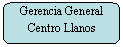 Rectngulo redondeado: Gerencia General Centro Llanos