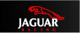 Jaguar_logo.gif (4210 bytes)