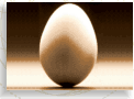 huevo.gif (4969 bytes)