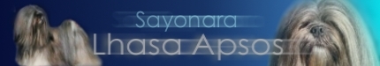 SAYONATANEWBANNER