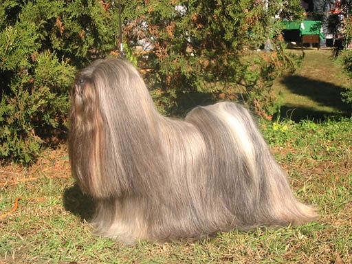 yrianjardin1