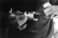 Hands photos, hands making and doing, Hands in action, black and white photography, the Paper Scorpion