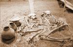 اسکلت يک زن و شوهر 4000 ساله در موزه تبريز