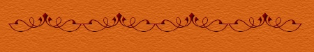 lightbar.jpg (16846 bytes)