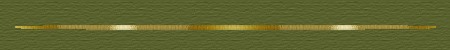 maidenbar.jpg (6278 bytes)