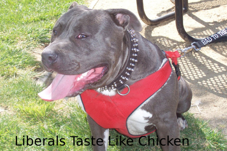 Liberals Taste Like Chicken