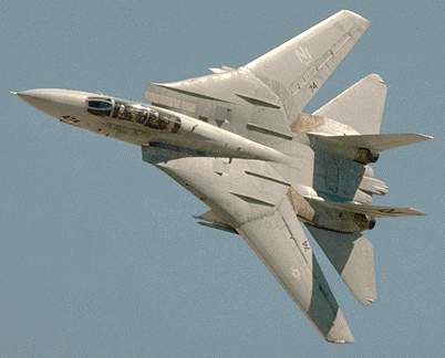 grumman f14 tomcat. F-14 Tomcat