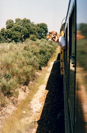  Girl in the train looking out of the window